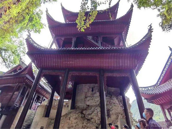 逗小猴开心系列206